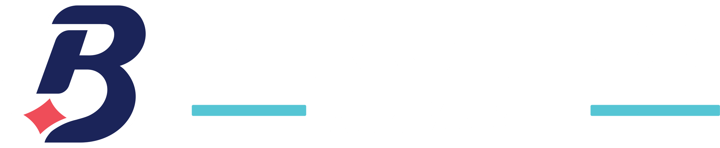 Home | Bling It On Apparel, LLC, image size:2400x496